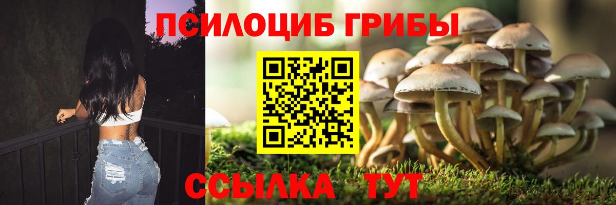 Псилоцибиновые грибы MAGIC MUSHROOMS Сердобск