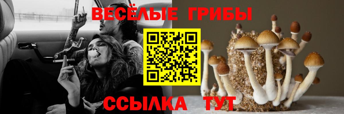 Псилоцибиновые грибы ЛСД  Вход с VPN  Сердобск 